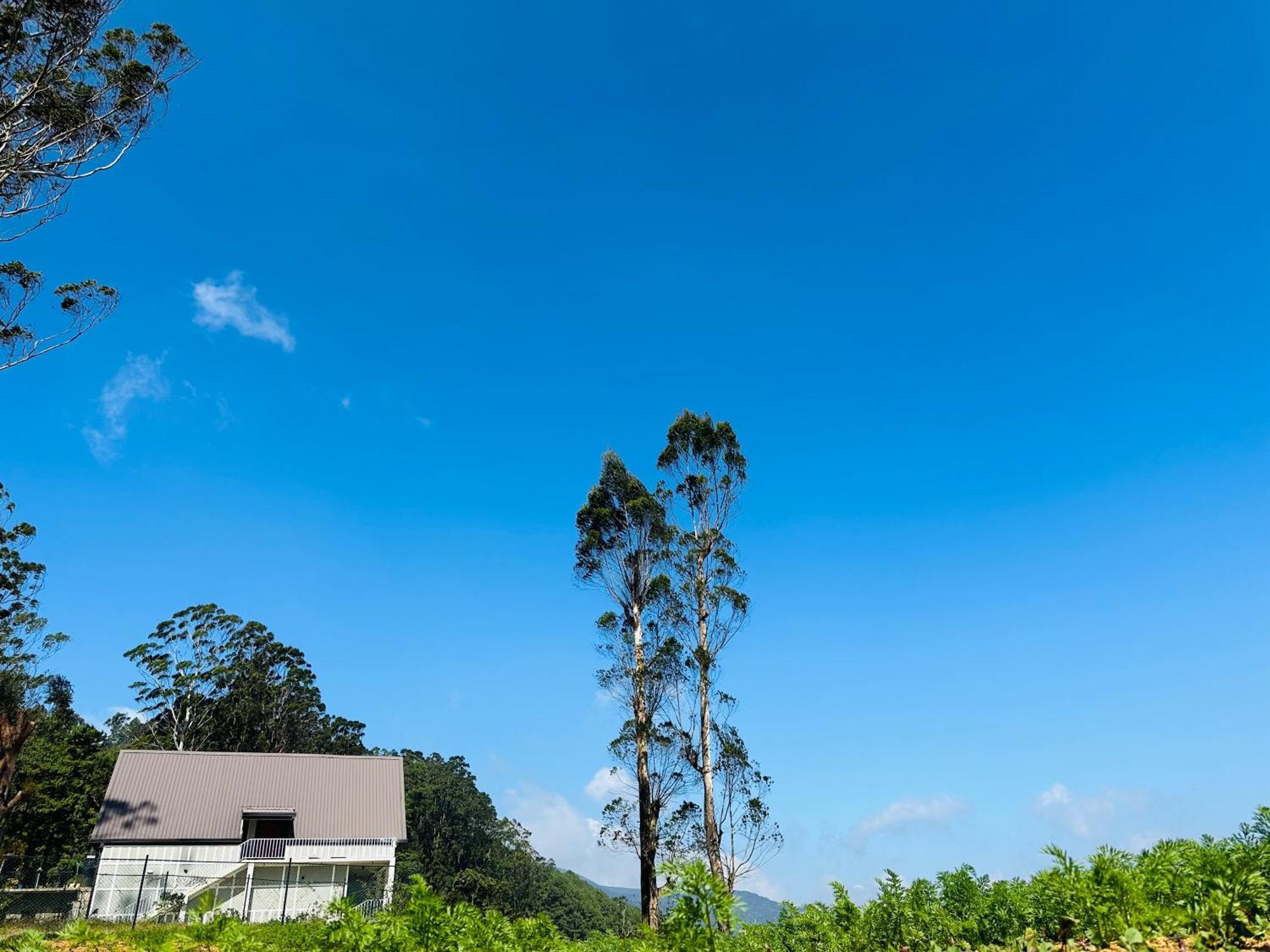 Cabin 7000 Feet Nuwaraeliya Villa Nuwara Eliya Exterior photo