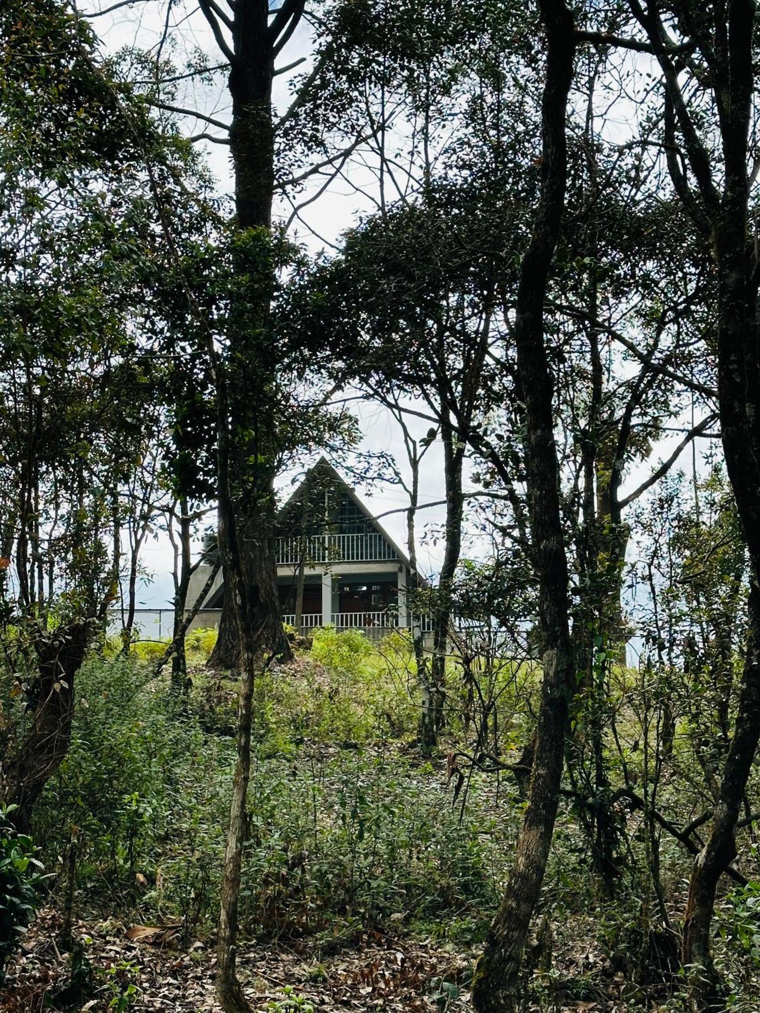 Cabin 7000 Feet Nuwaraeliya Villa Nuwara Eliya Exterior photo